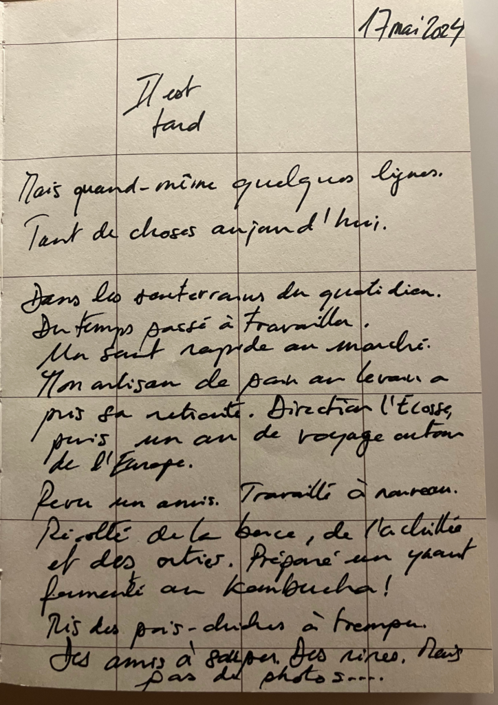 Extrait du carnet de notes des "Chroniques végétales. Un peu sauvaages"