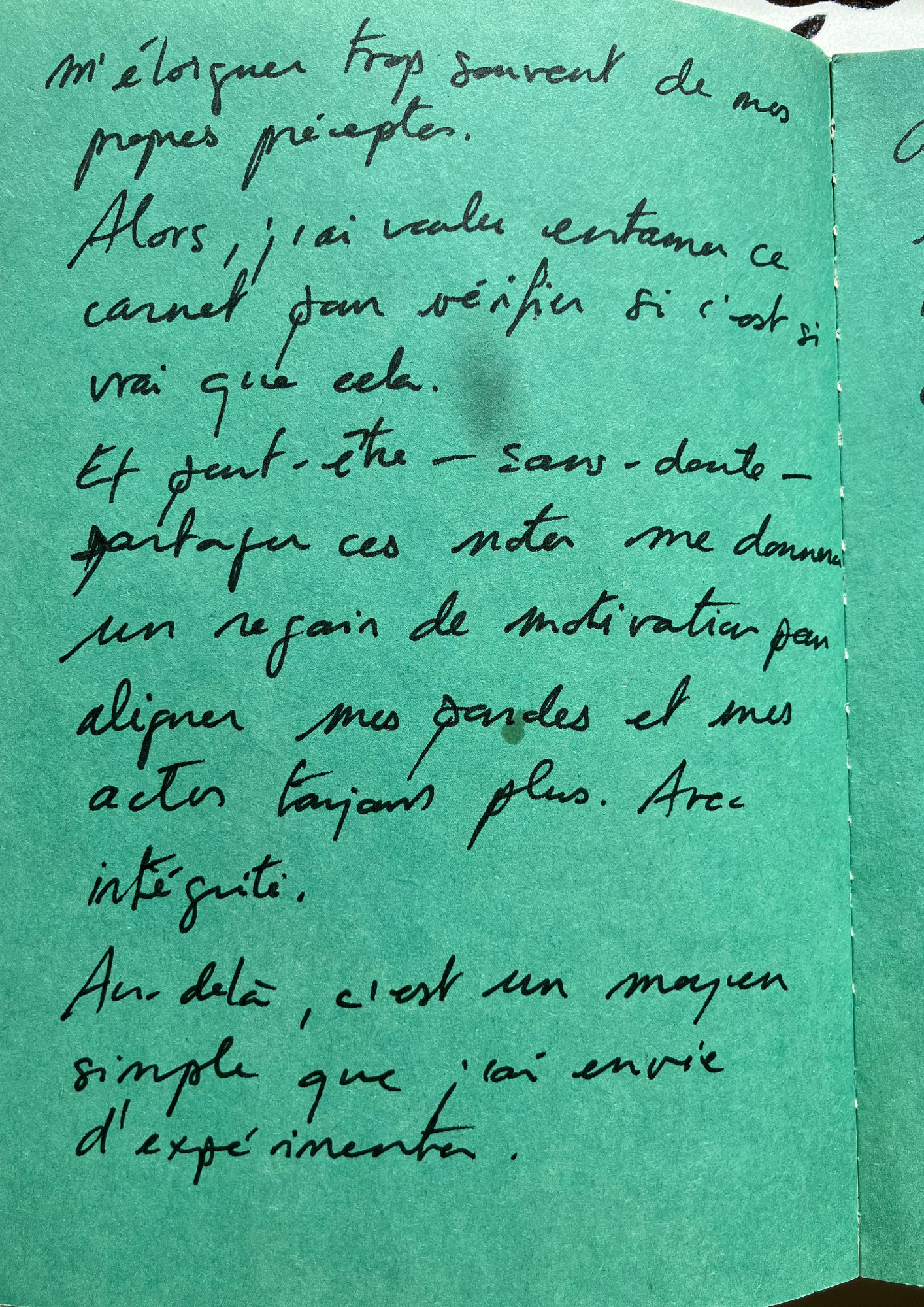 Carnet de notes avec le texte manuscrit des "Chroniques végétales. Un peu sauvages".