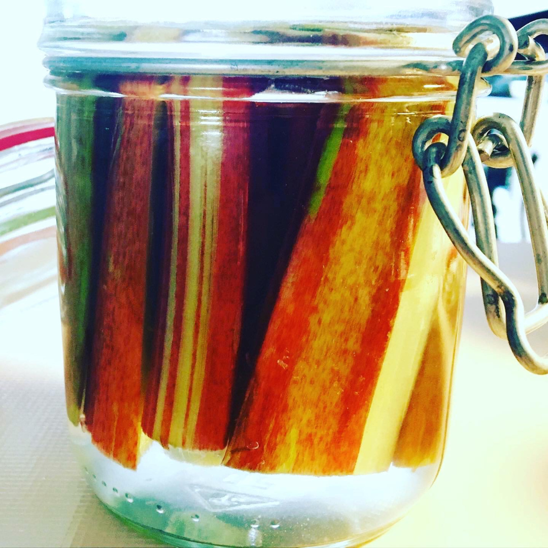 Pétioles de rhubarbe dans un bocal, avec de la saumure, pour une lactof-fermentation.
