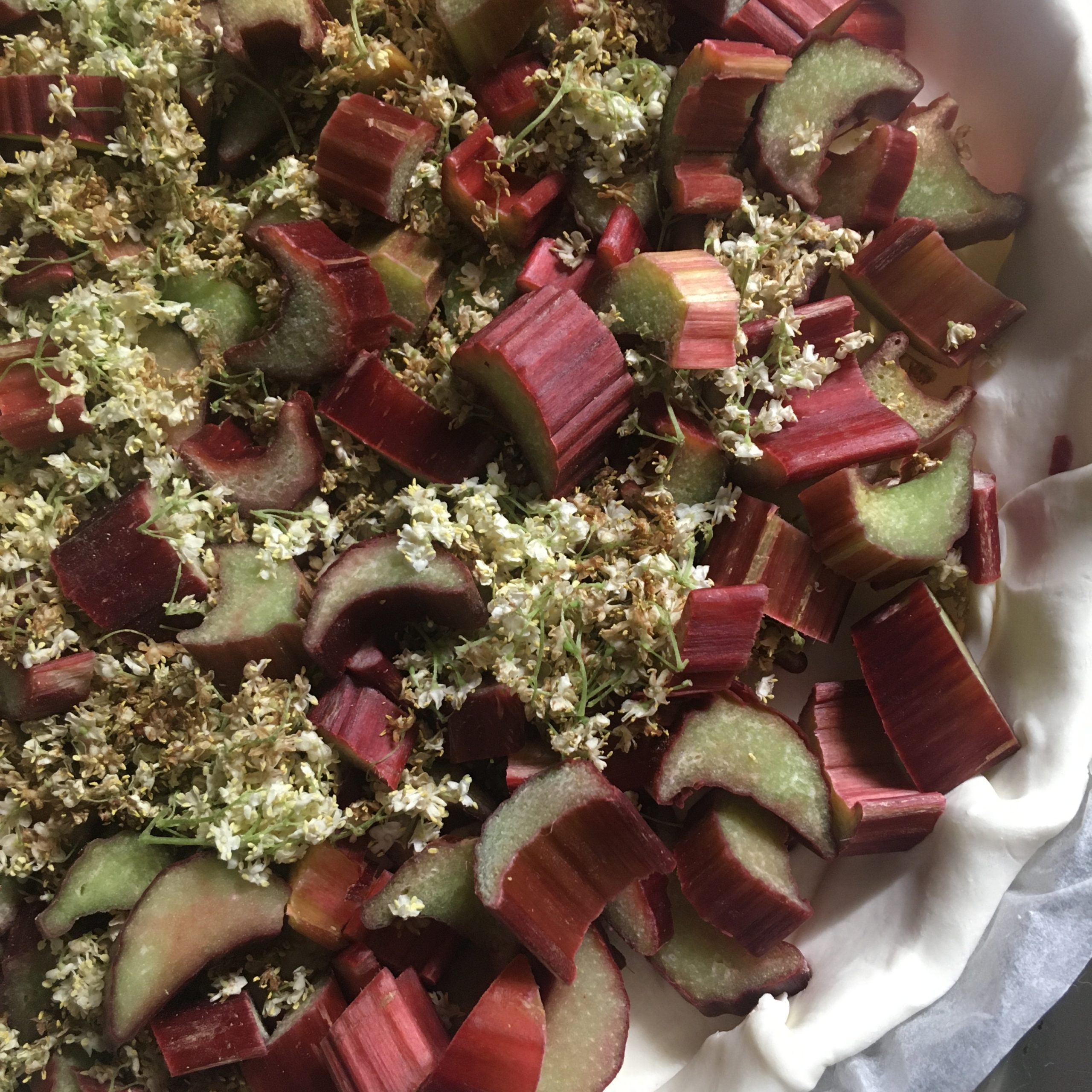 Une tarte en préparation, à la rhubarbe et aux fleurs de sureau noir.