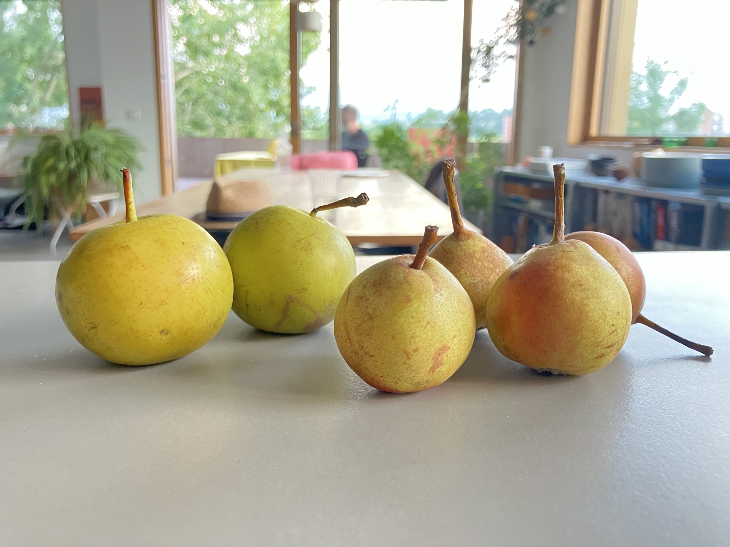 Des poires à Botzi sur un plan de travail.
