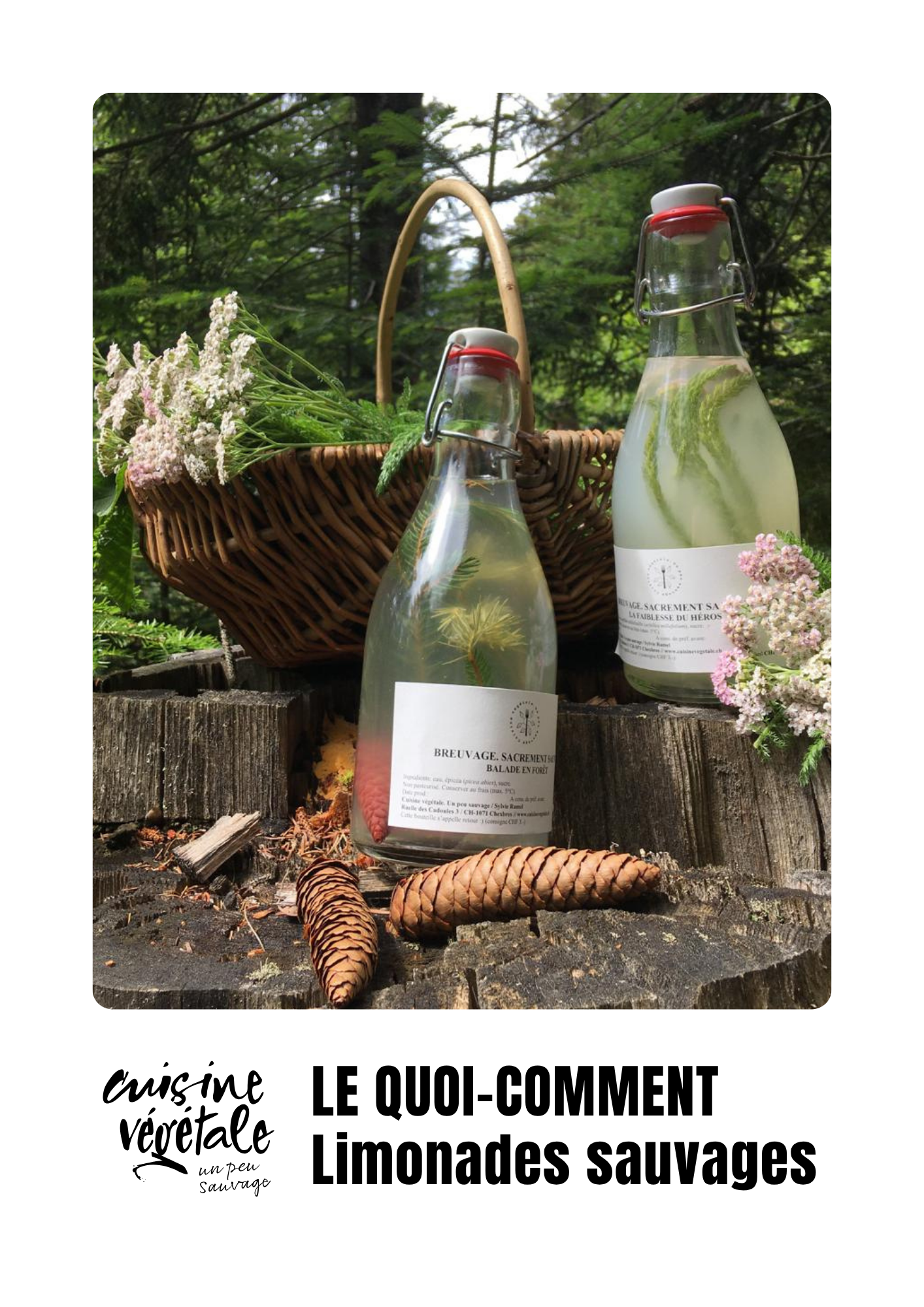Des limonades sauvages posées sur une souche d'arbre.